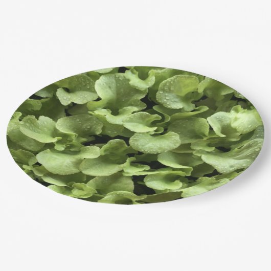 Salade bladeren voor tuinman natuur food lover.par papieren bordje (Gekanteld)