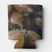 Salak [Snake Fruit] Blikjeskoeler (Achterkant)