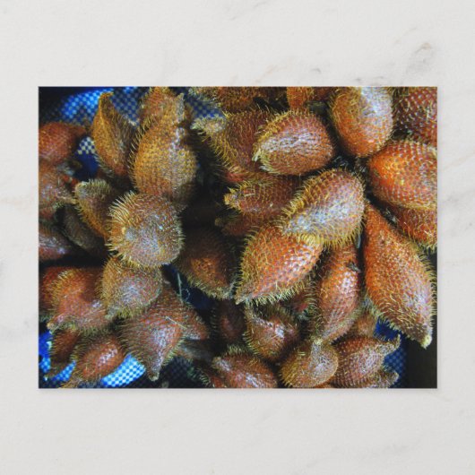 Salak [Snake Fruit] Briefkaart (Voorkant)