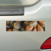 Salak [Snake Fruit] Bumpersticker (Op auto)
