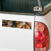 Salak [Snake Fruit] Bumpersticker (Op Truck)