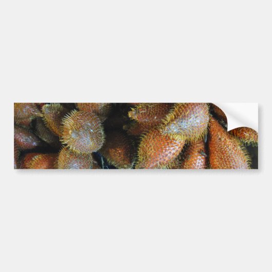Salak [Snake Fruit] Bumpersticker (Voorkant)