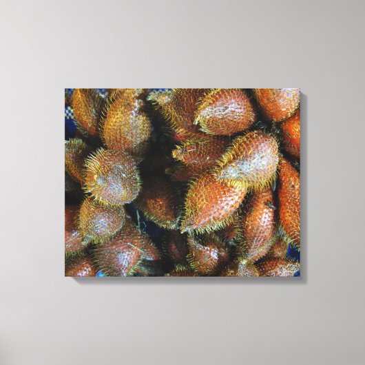 Salak [Snake Fruit] Canvas Afdruk (Voorkant)