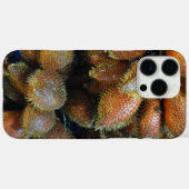 Salak [Snake Fruit] Case-Mate iPhone Case (Achterkant (horizontaal))