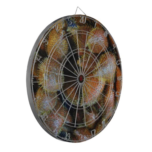 Salak [Snake Fruit] Dartbord (Voorkant Links)