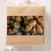 Salak [Snake Fruit] Etiket (Insitu)