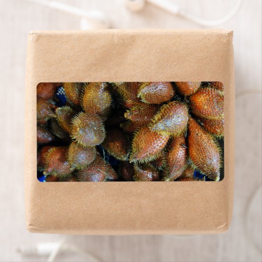 Salak [Snake Fruit] Etiket (Insitu)