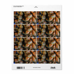 Salak [Snake Fruit] Etiket