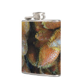 Salak [Snake Fruit] Heupfles (Links)