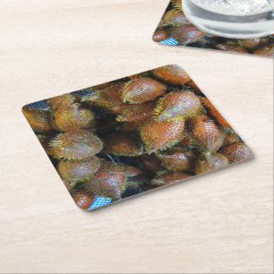 Salak [Snake Fruit] Kartonnen Onderzetters