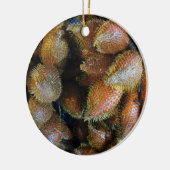 Salak [Snake Fruit] Keramisch Ornament (Links)