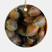 Salak [Snake Fruit] Keramisch Ornament (Achterkant)