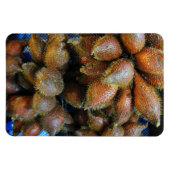 Salak [Snake Fruit] Magneet (Horizontaal)