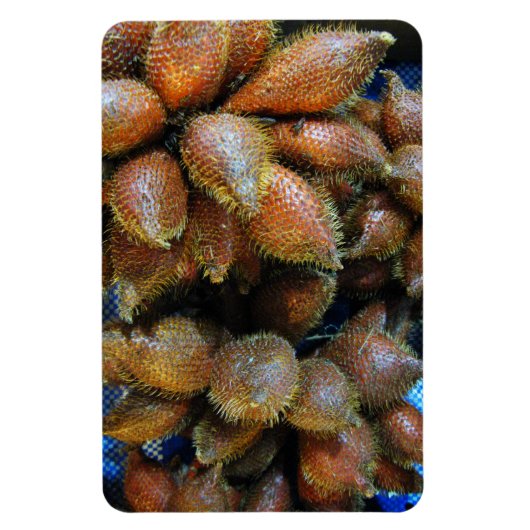 Salak [Snake Fruit] Magneet (Verticaal)