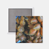 Salak [Snake Fruit] Magneet (Voorkant / Achterkant)