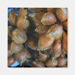 Salak [Snake Fruit] Magneet