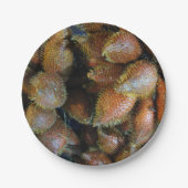 Salak [Snake Fruit] Papieren Bordje (Voorkant)