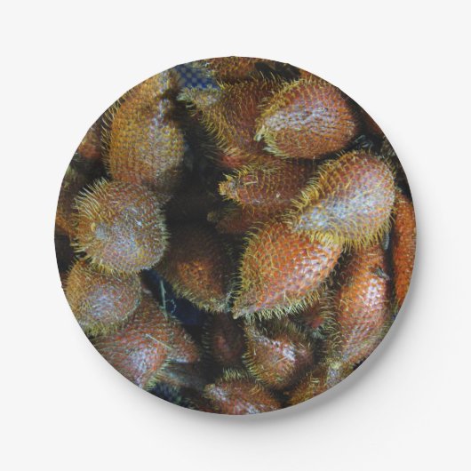 Salak [Snake Fruit] Papieren Bordje (Voorkant)