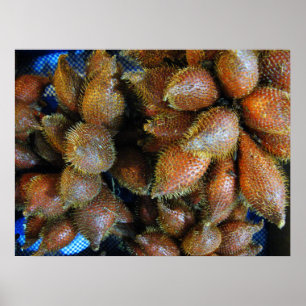 Salak [Snake Fruit] Poster