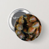 Salak [Snake Fruit] Ronde Button 5,7 Cm (Voorkant /achterkant)
