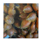 Salak [Snake Fruit] Tegeltje (Voorkant)