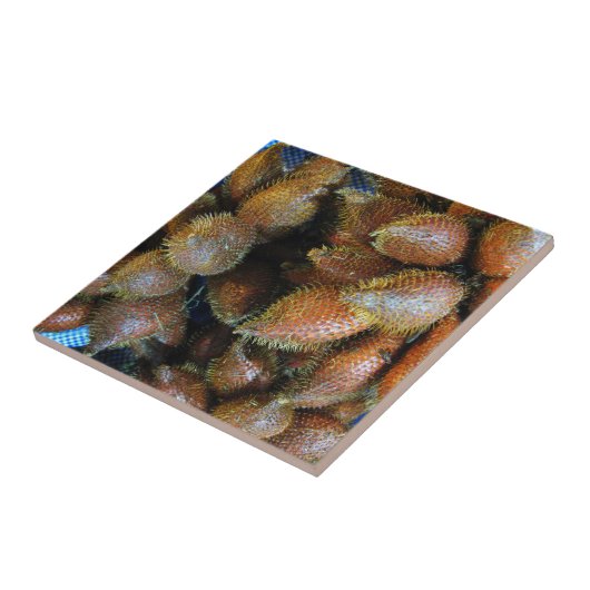 Salak [Snake Fruit] Tegeltje (Zijkant)