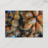 Salak [Snake Fruit] Visitekaartje (Achterkant)