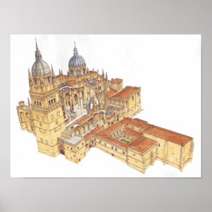 Salamanca Cathedraal. Spanje Poster