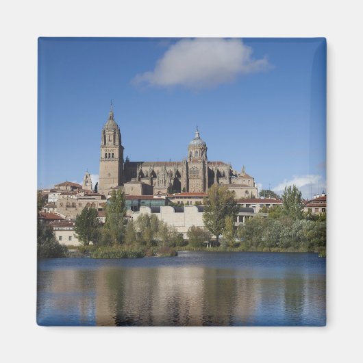 Salamanca Cathedrals en stad Magneet (Voorkant)