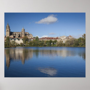 Salamanca Cathedrals en stad Poster