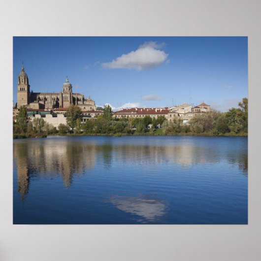 Salamanca Cathedrals en stad Poster (Voorkant)