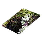 Salamander Hiding under Log, Washington Magneet (Linkerzijde)