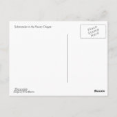 Salamander in het bos briefkaart (Achterkant)