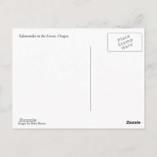 Salamander in het bos briefkaart (Achterkant)