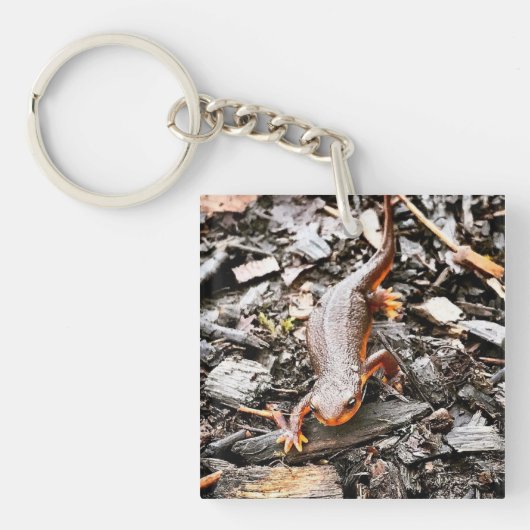 Salamander in het bos, Oregon Sleutelhanger (voorkant)