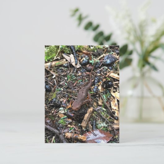 Salamander in het bos, Washington Briefkaart (Staand voorkant)