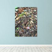 Salamander in het bos, Washington Canvas Afdruk (Insitu (Houten vloer))
