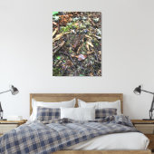 Salamander in het bos, Washington Canvas Afdruk (Insitu (Slaapkamer))