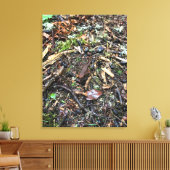 Salamander in het bos, Washington Canvas Afdruk (Insitu (Woonkamer))