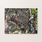 Salamander in het bos, Washington Legpuzzel (Horizontaal)