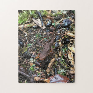 Salamander in het bos, Washington Legpuzzel