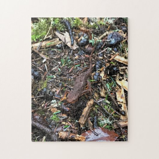 Salamander in het bos, Washington Legpuzzel (Verticaal)
