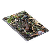 Salamander in het bos, Washington Notitieboek (Rechterzijde)