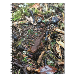 Salamander in het bos, Washington Notitieboek