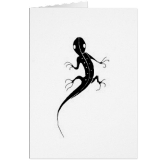 Salamander - kaart (Voorkant)