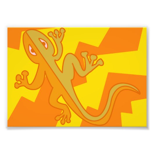 Salamander Photo Print Foto Afdruk (Voorkant)