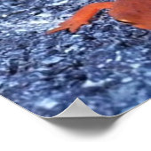 Salamander Poster (Hoek)