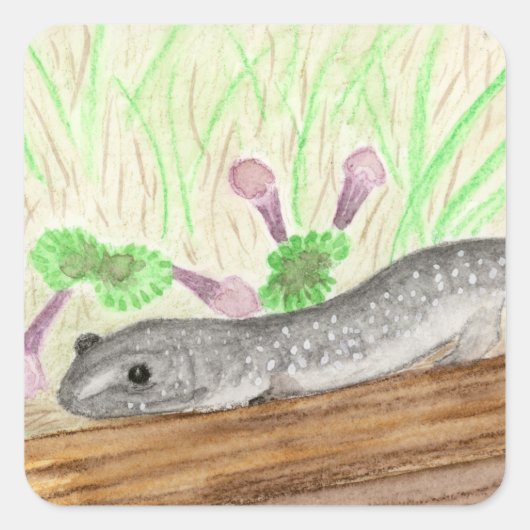 Salamander Vierkante Sticker (Voorkant)