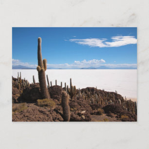 Salar de Uyuni cactus briefkaart