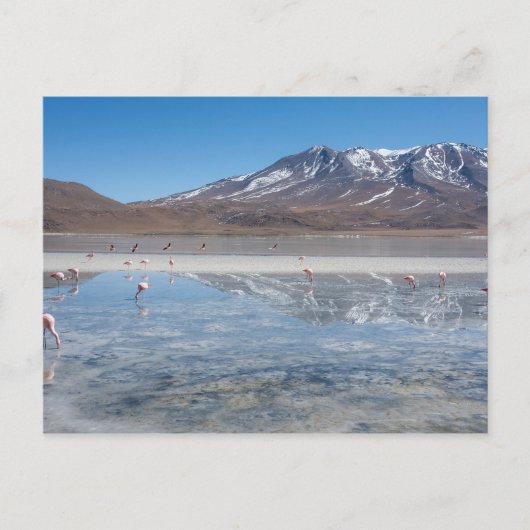 SALAR DE UYUNI SALT FLAT, BOLIVIA BRIEFKAART (Voorkant)